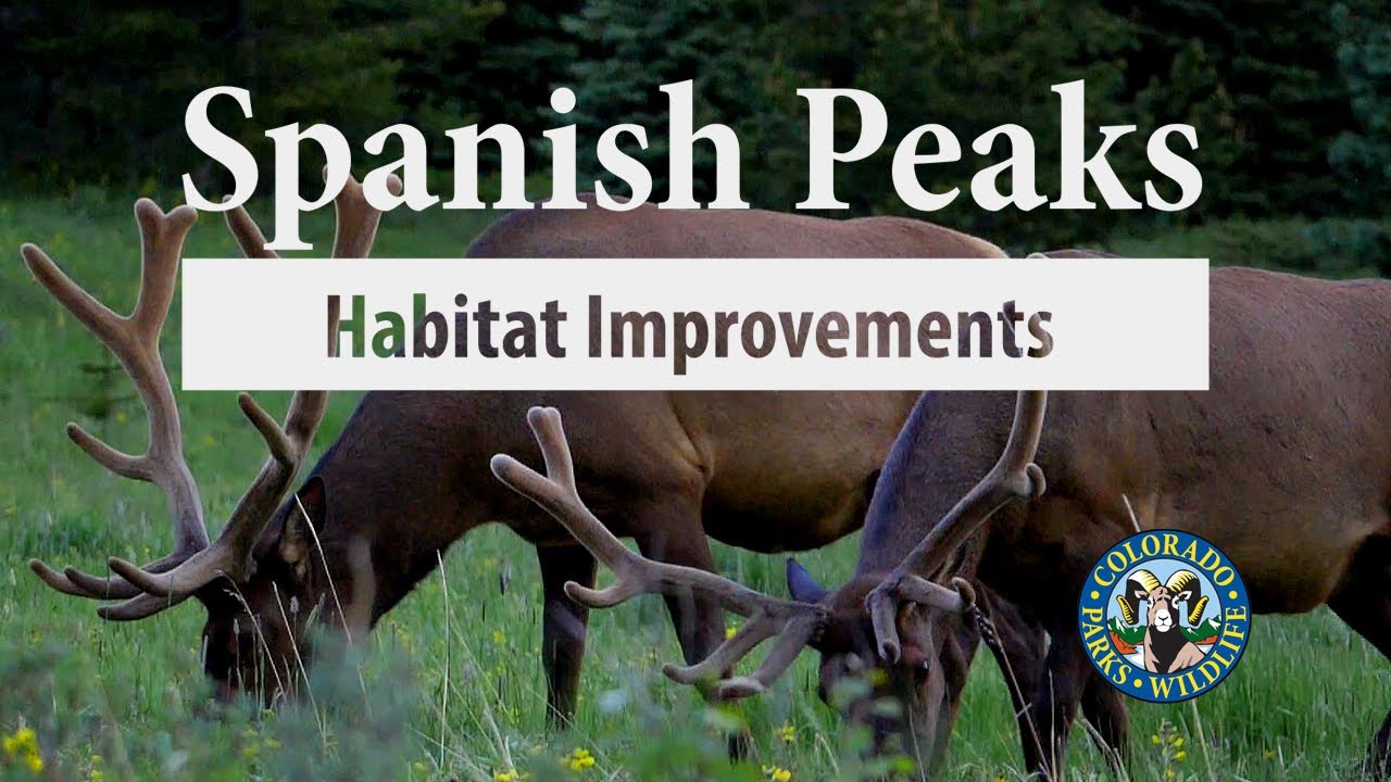 Spanish Peaks Habitat Improvements
