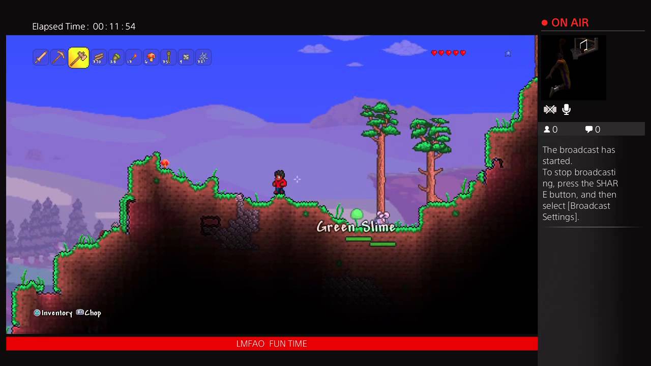 Momo Fun Time on terraria