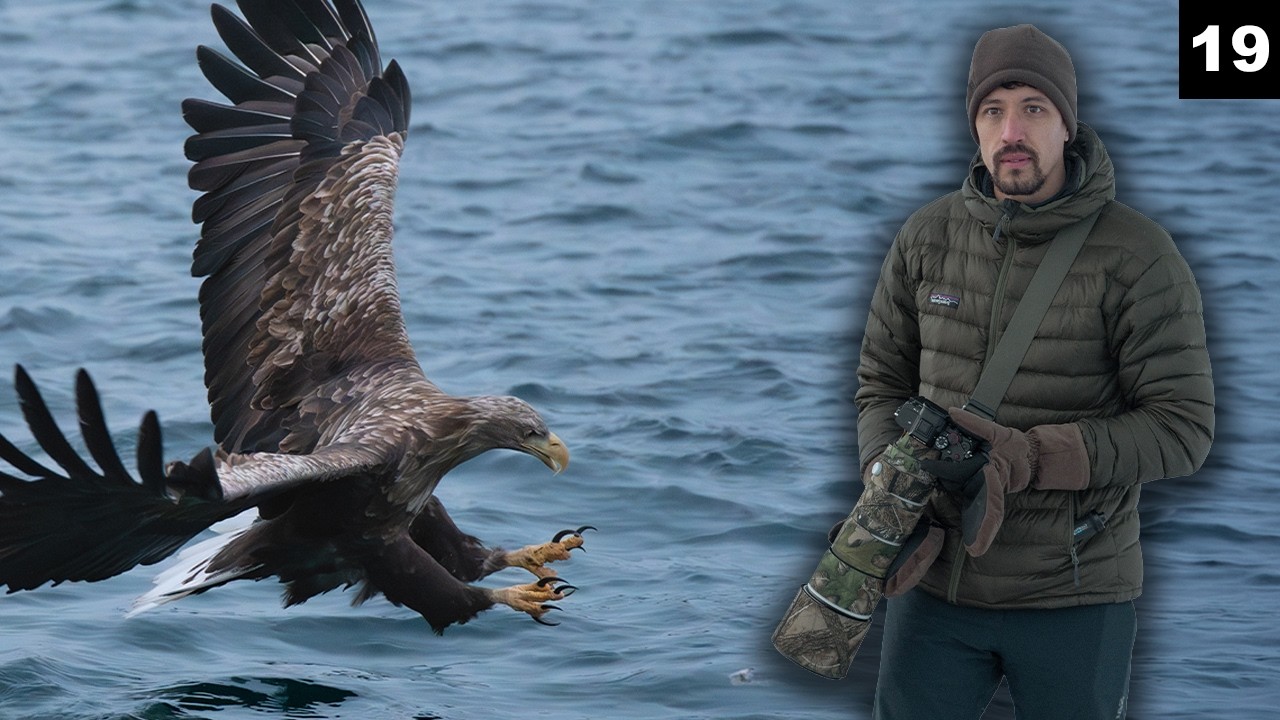 Soportando -20°C para fotografiar un ÁGUILA ÚNICA 🦅 [Ep.19]