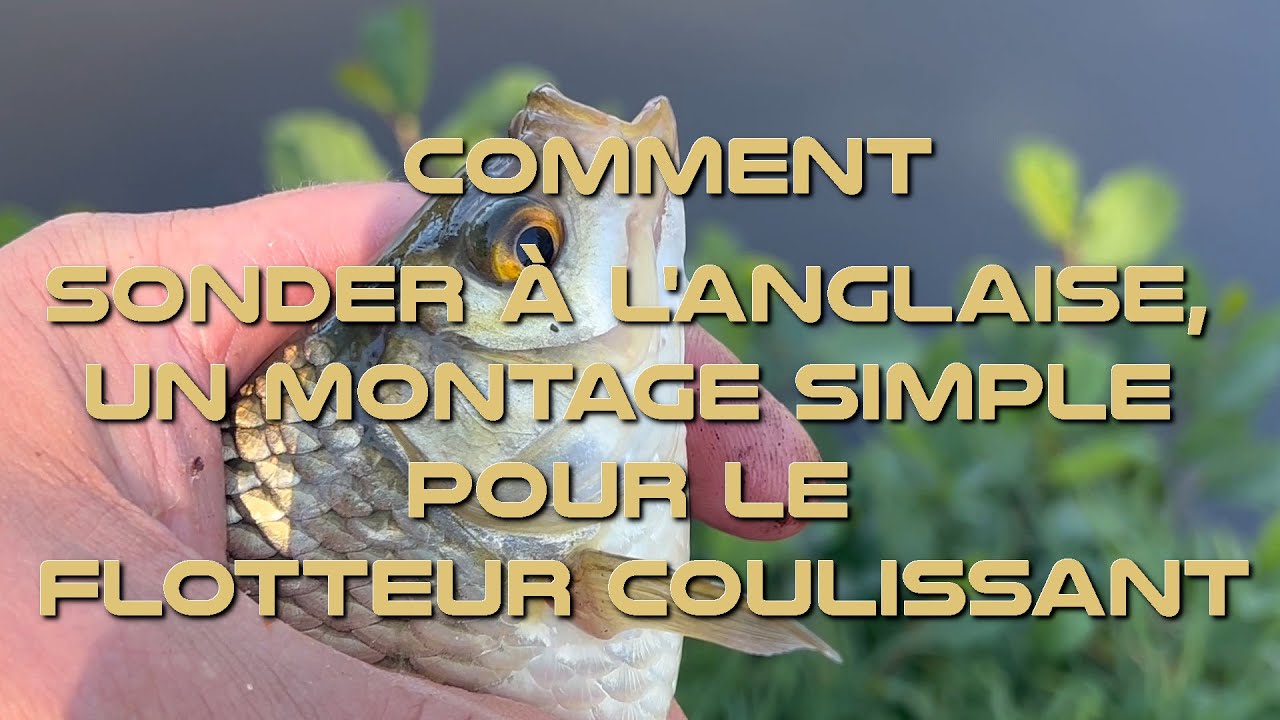 Sonder pour Pêcher au waggler, mon montage coulissant facile #pêche #poisson #waggler