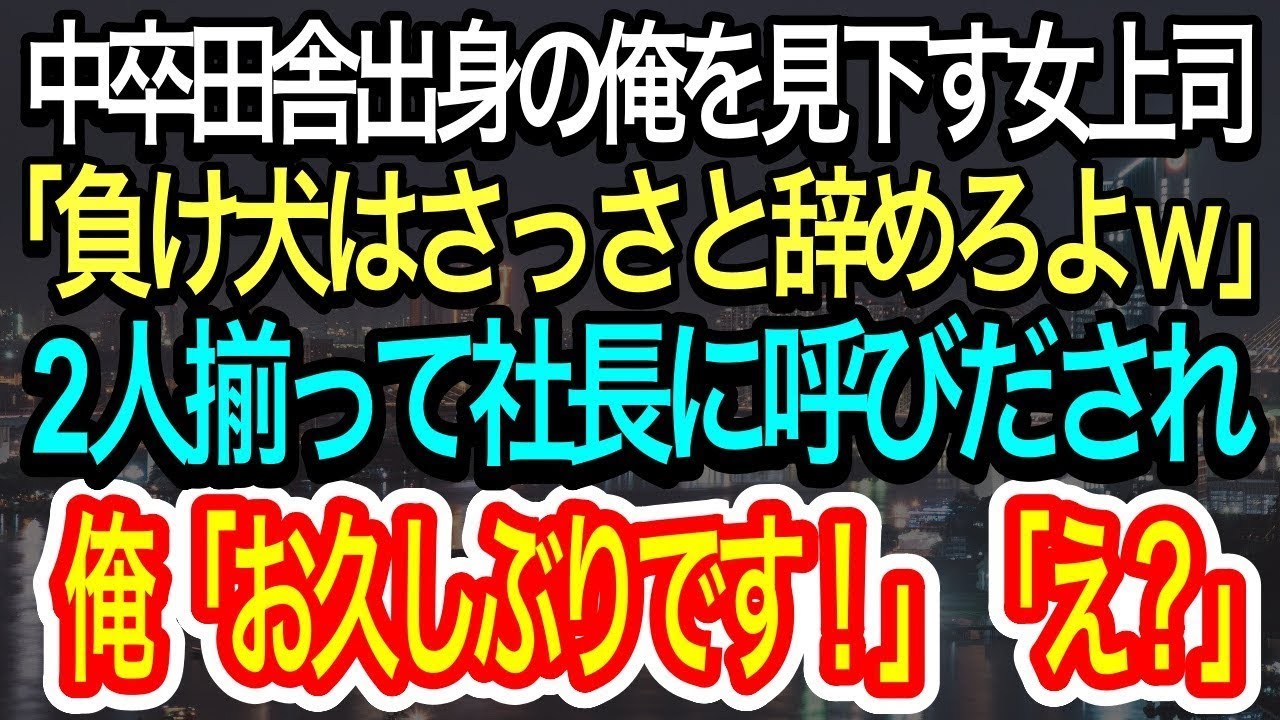 【スカッとする話】女上司「負け犬はさっさと辞めれば？w」と中卒田舎出身の俺を見下す大卒エリート女上司。ある日→社長から2人揃って突然呼び出され、俺『お久しぶりですね社長』『え？』【朗読】【感動する話】