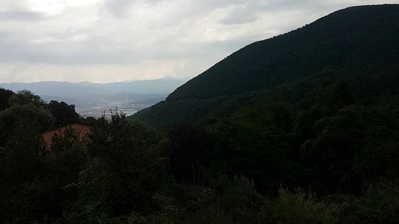 Biassa-Arcola(3)
