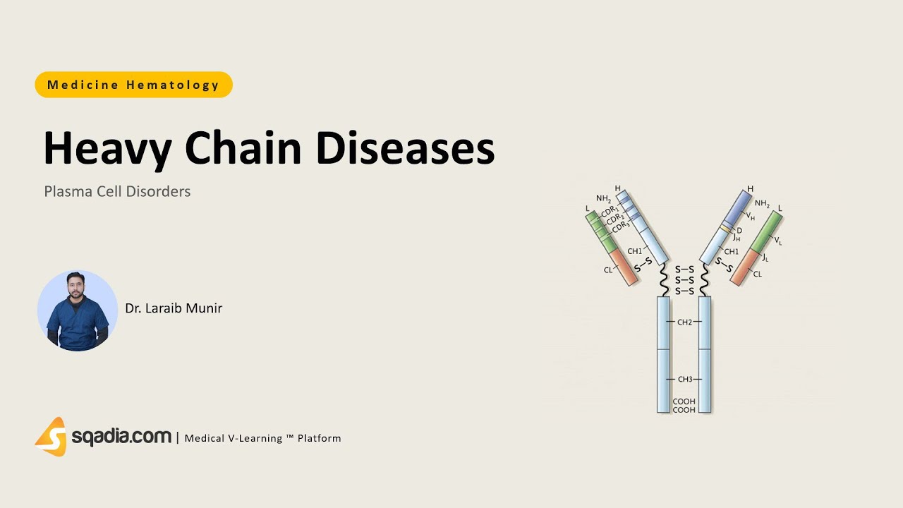 Plasma Cell Disorders | Heavy Chain Diseases