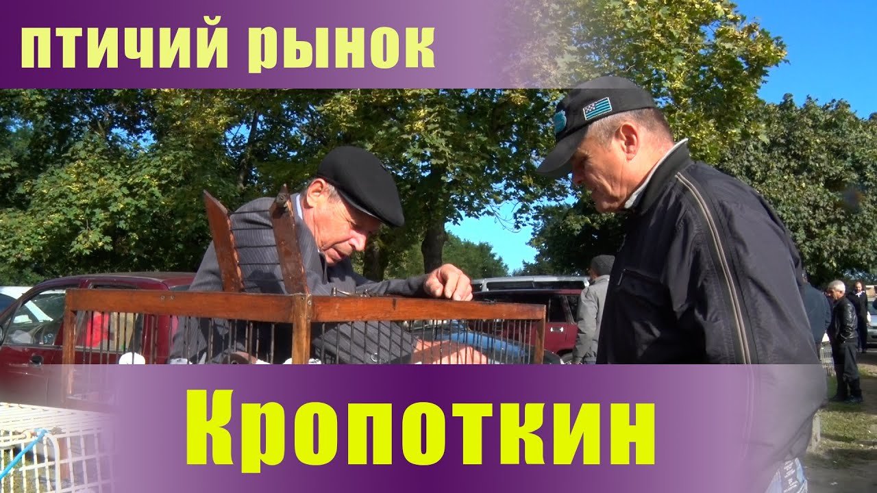 Птичий рынок. Кропоткин. Часть 6. [25.09.2022]