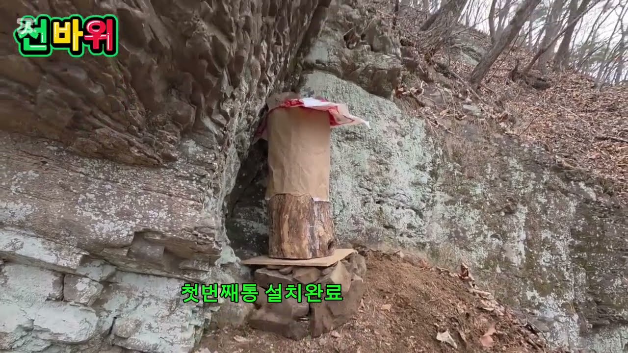✨️설통 환태통놓을자리까지 만들고 철수🤑 누군가 토종벌을 키우고있어 다른곳에 설통놓기👍