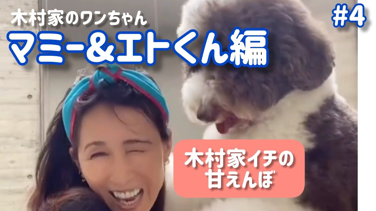 【癒し】工藤静香×甘えん坊エトくん