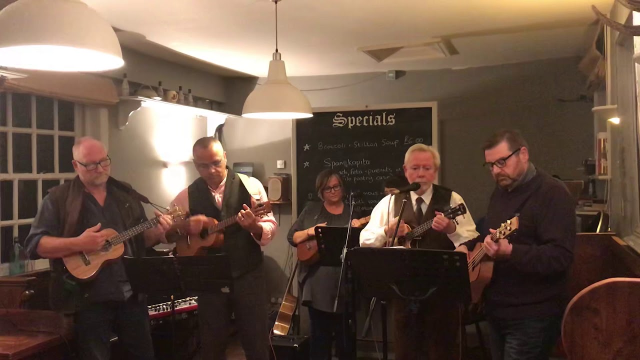 Lady Madonna by The Total Flukes ukulele group