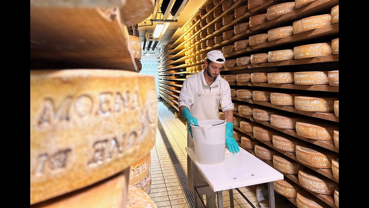 Alla scoperta del Puzzone di Moena DOP