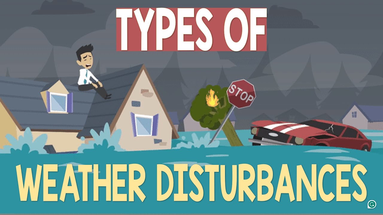 Types of Weather Disturbances | Animation