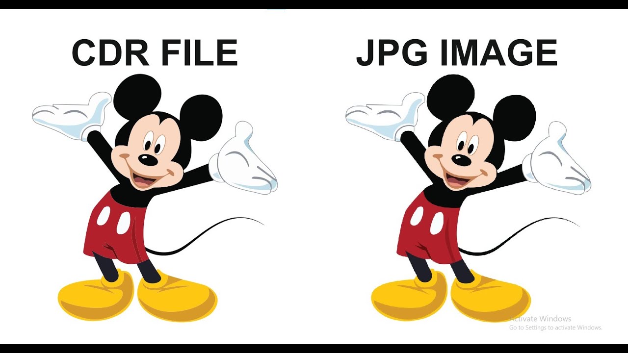 CorelDRAW CDR FILE MAKE EASY