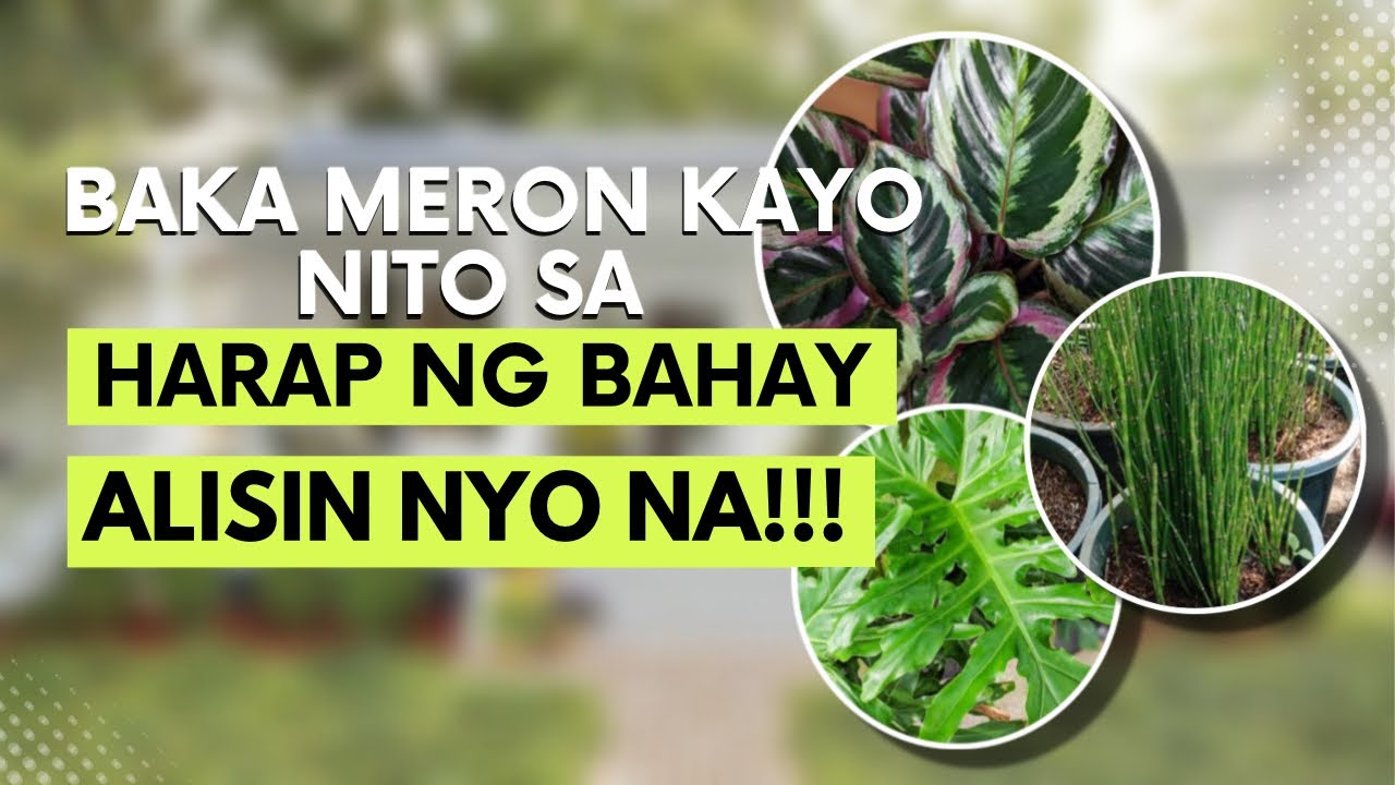 WAG NA WAG MO ‘TO ILALAGAY SA HARAPAN NG BAHAY MO!
