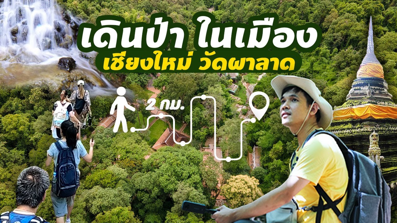 เดินป่าในเมือง 2 กม. วัดผาลาด ใกล้ชิดธรรมชาติ