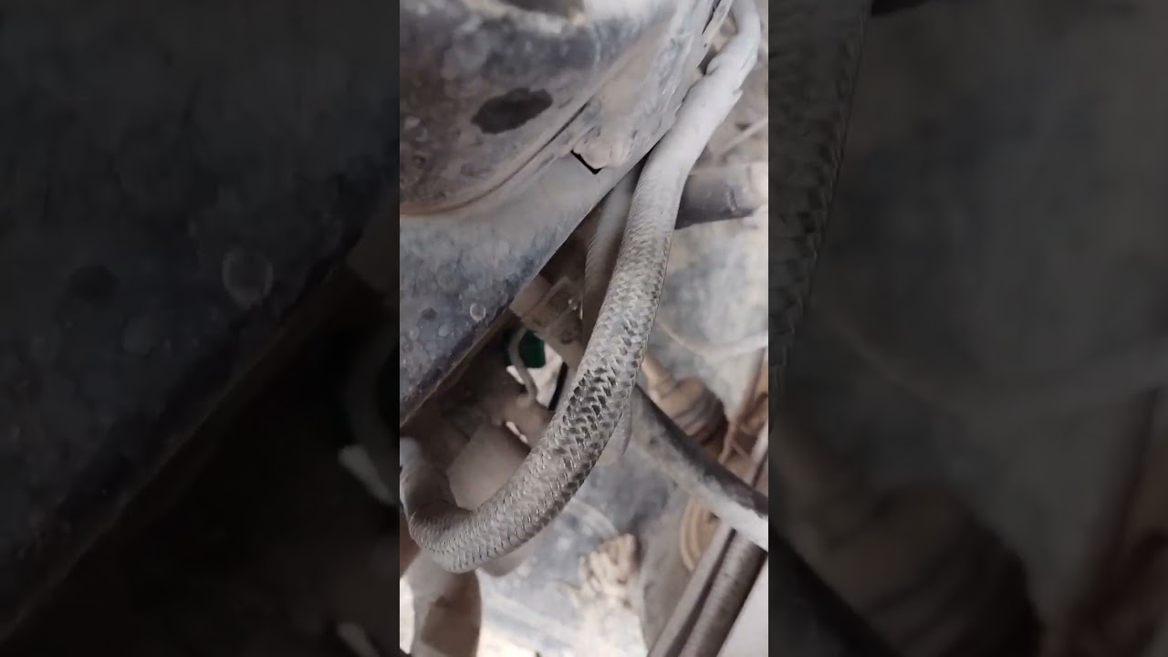 Torito bajaj fuga aceite reten de velocímetro