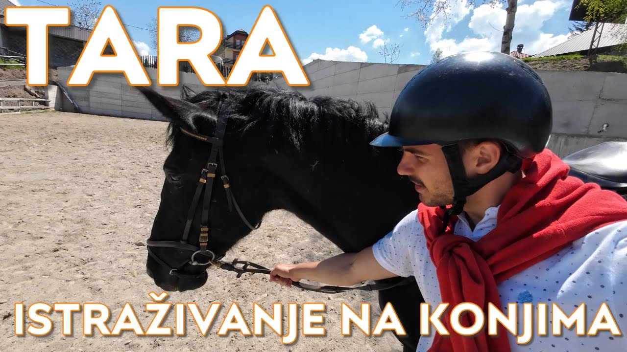TARA - Istraživanje vidikovaca, jezera i jahanje konja na planini Tari