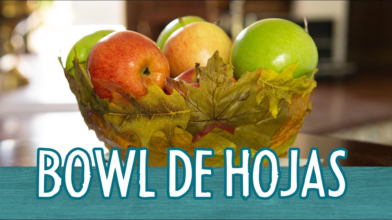 Bowl hecho de Hojas