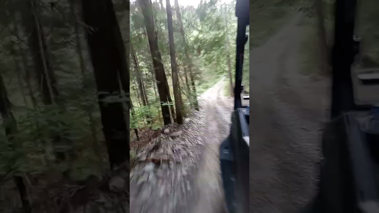 Atving part 5 #atv #atving #riding #maine #shorts #beautiful