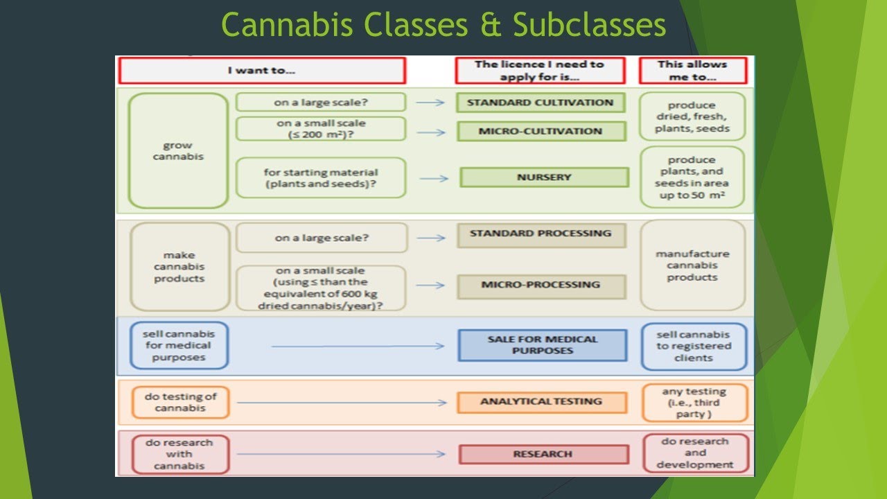 Canadian Cannabis Licence Producer Application Process Video Series Part 3