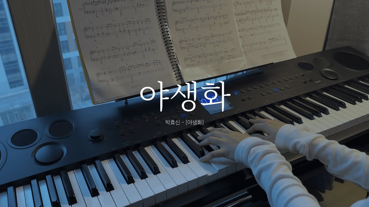 박효신(Park Hyo Shin) 