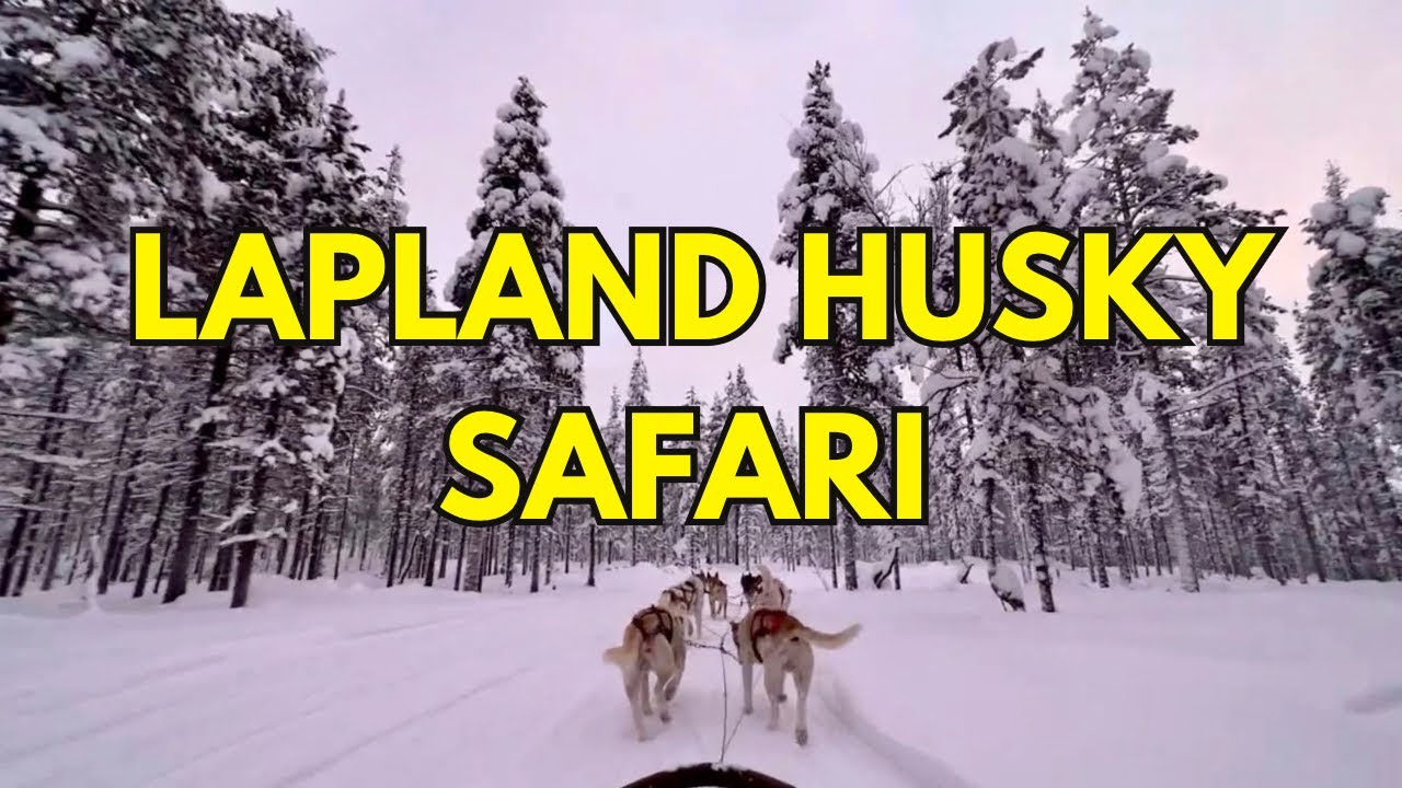 🇫🇮HUSKY SAFARI | LAPLAND | FINLAND | SAARISELKA | WINTER | ARCTIC SAFARI SLOMINSKI | KAKSLAUTTANEN