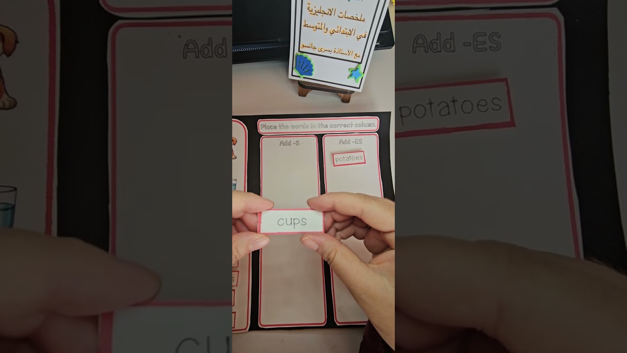 مراجعة درس الجمع plural nouns سنة أولى متوسط 2025-2026