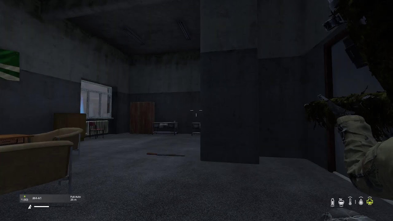 DayZ