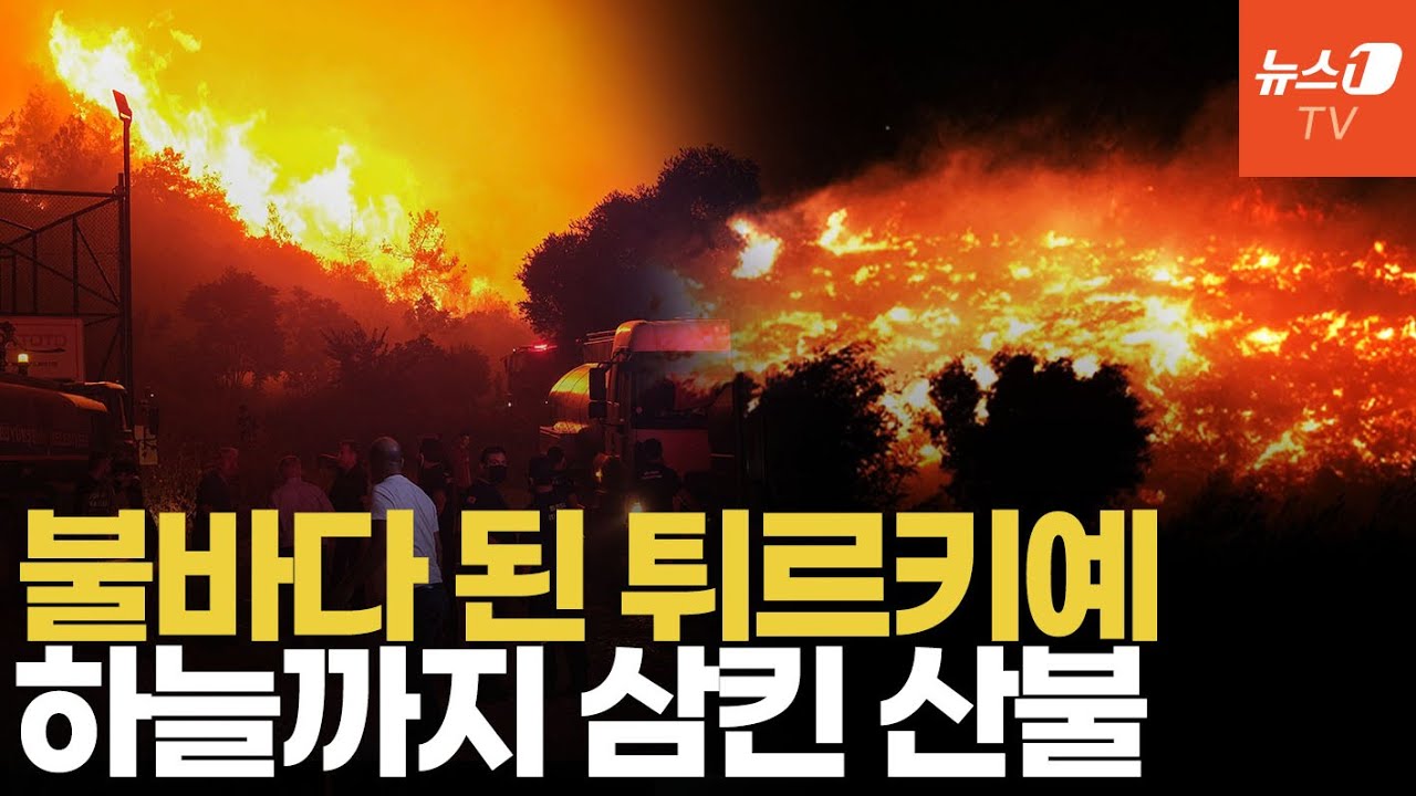 튀르키예 전역 '불지옥'…84건 동시 산불에 마을까지 삼켰다