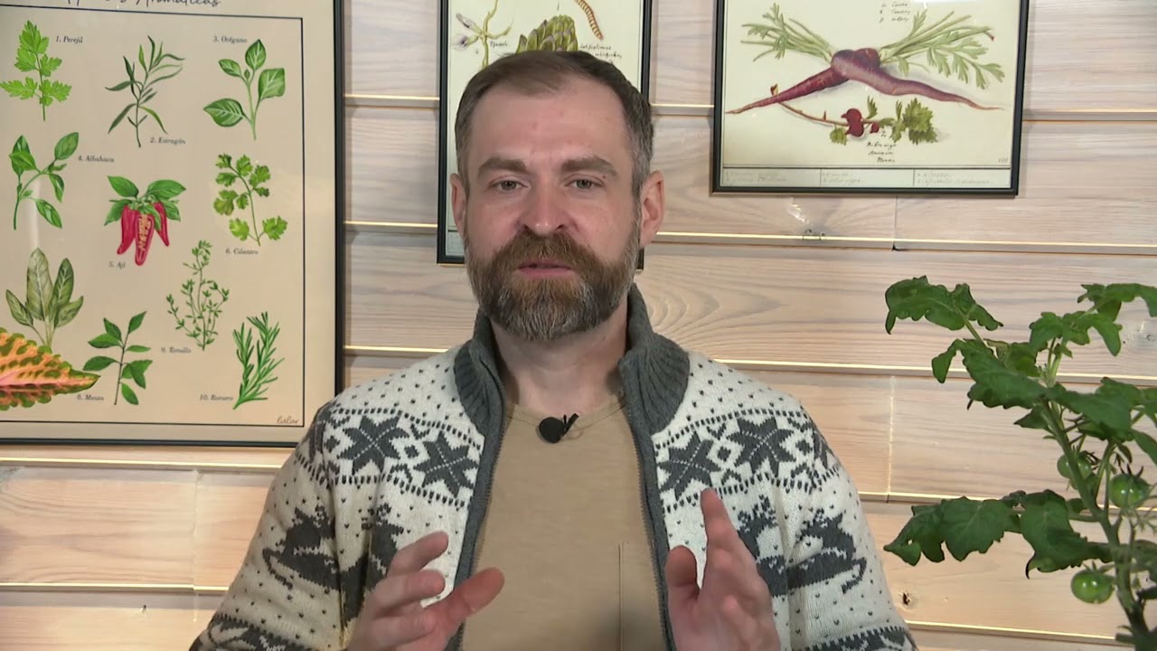 Готовим грунт для рассады и сеем помидоры - советы для огородников