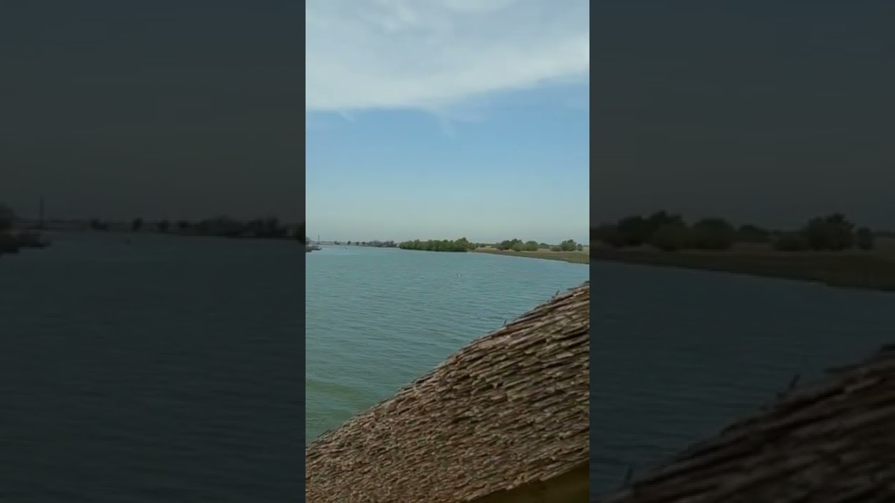bird flying above water in Danube Delta