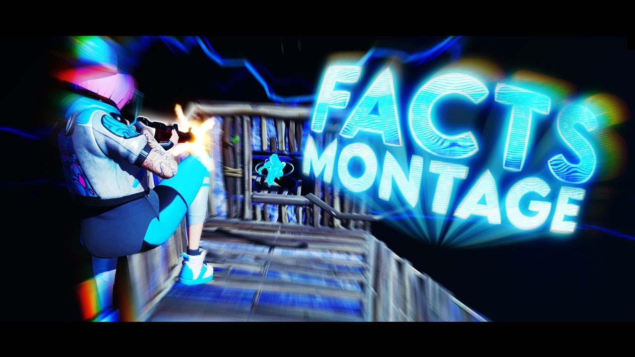 FACTS - Fortnite Montage (4K)