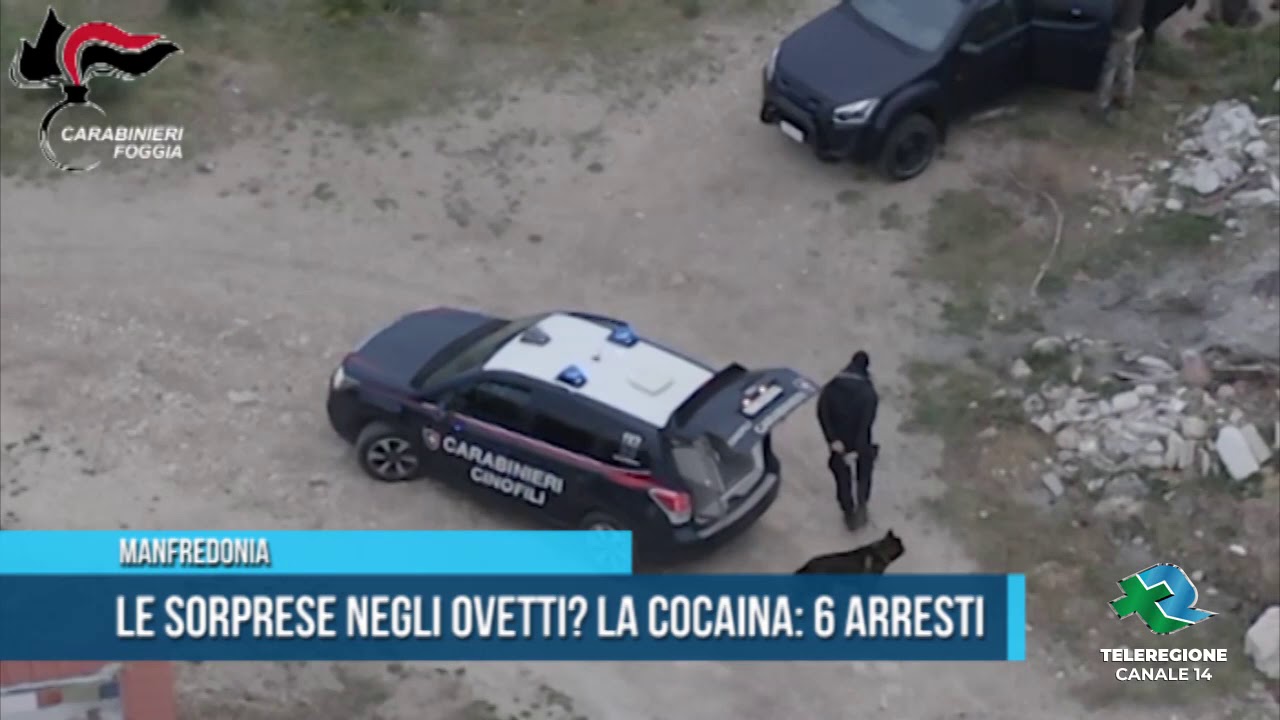 Manfredonia le sorprese negli ovetti la cocaina 6 arresti TG Teleregione 14 02 2020 1