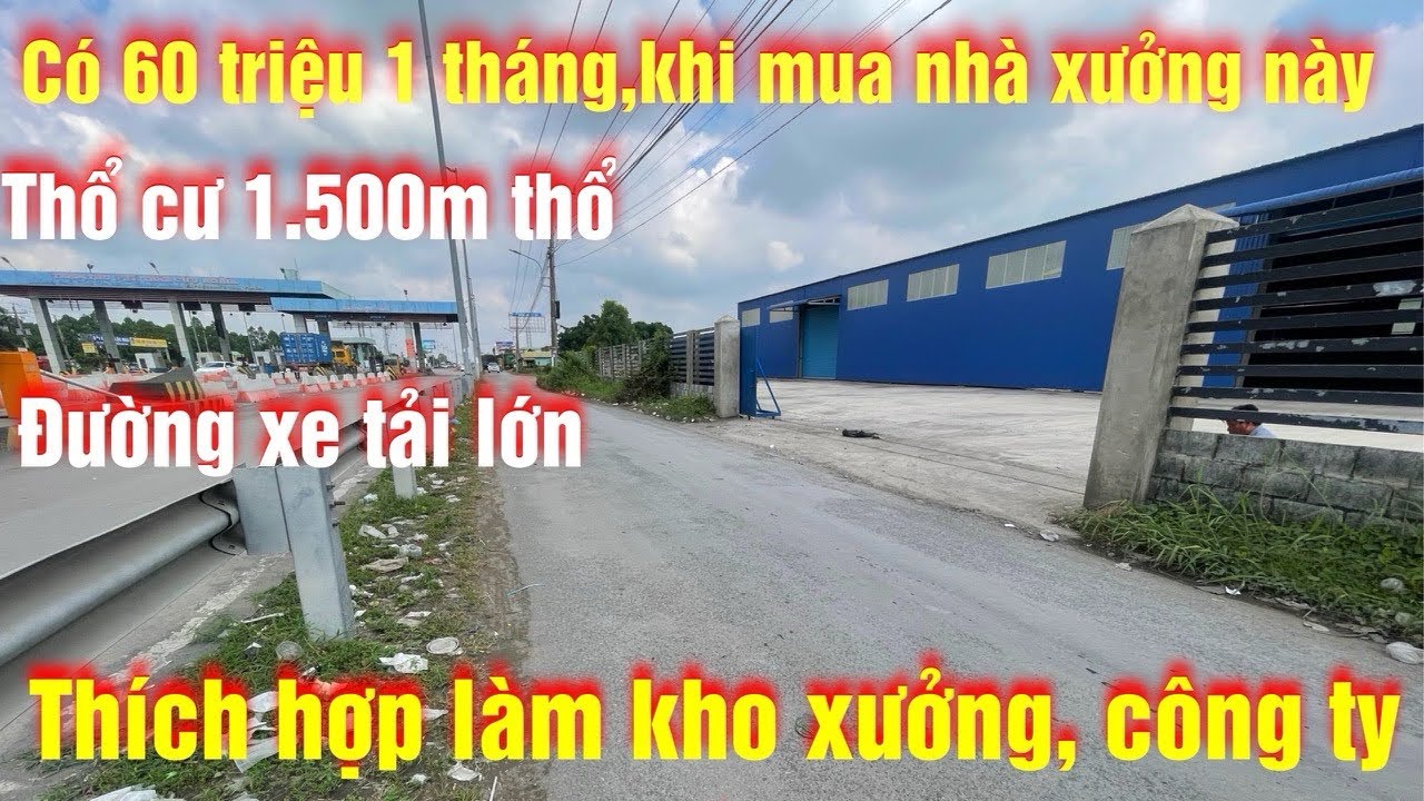 Tập 433 có ngay 60 triệu mỗi tháng, khi anh chị sở hữu kho xưởng này, ngay trạm thu phí, tiền giang