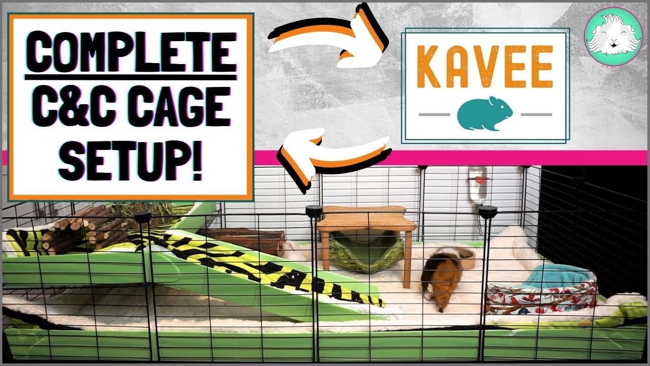 DIY Guinea Pig Cage: Setting up a Complete Kavee C&C Cage Kit!