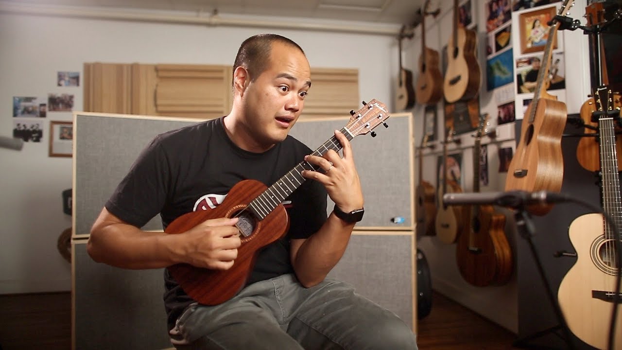 The Ukulele Review V.19.9 High G Low G Nylon Fluorocarbon Strings