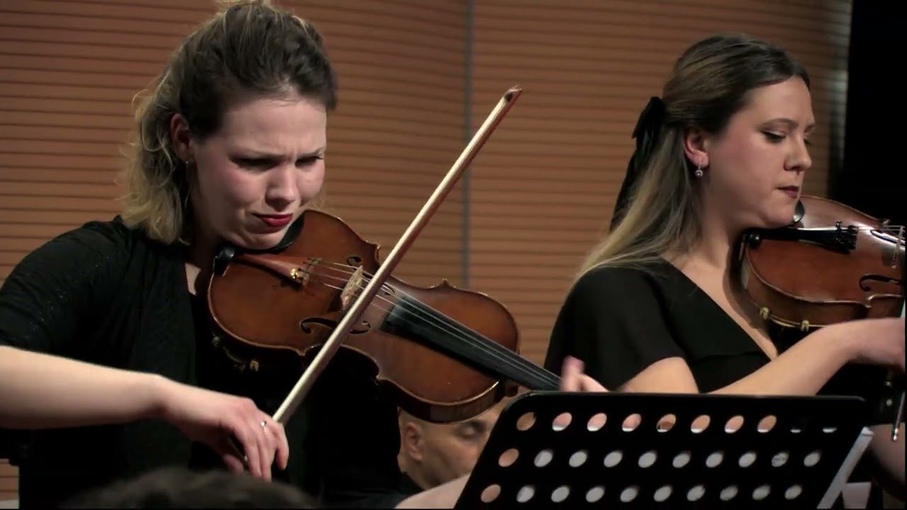 #Mozart - #AUDiMuS - #Sinfonia #concertante #K364 2/3 #Celeghin - #Perovic - #Gioia