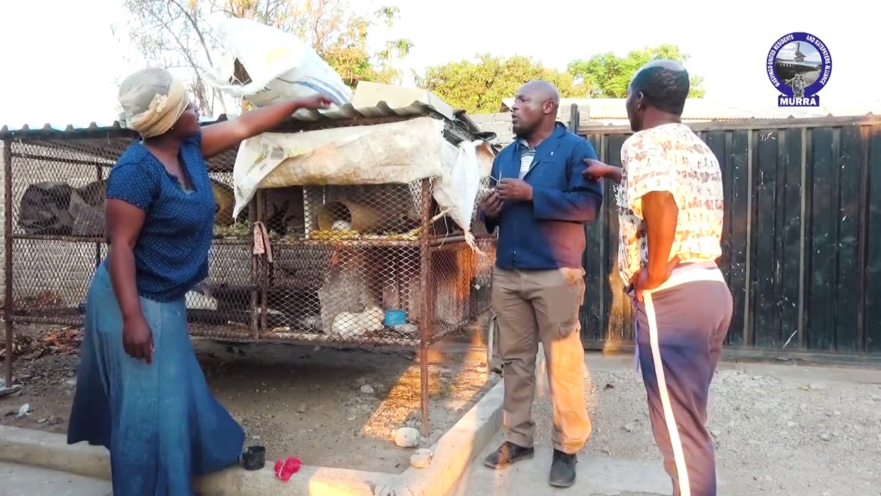 Sabhuku Vharazipi  Mahora