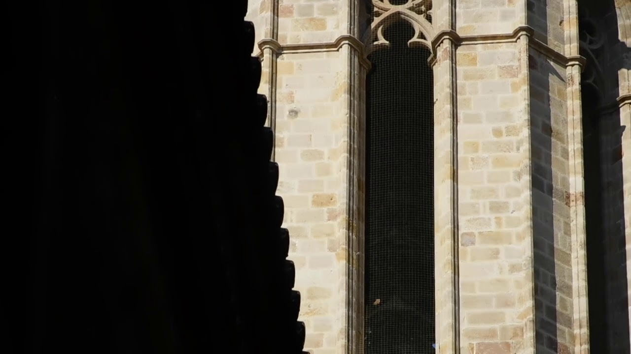 Campanes Catedral Barcelona (Parcial)