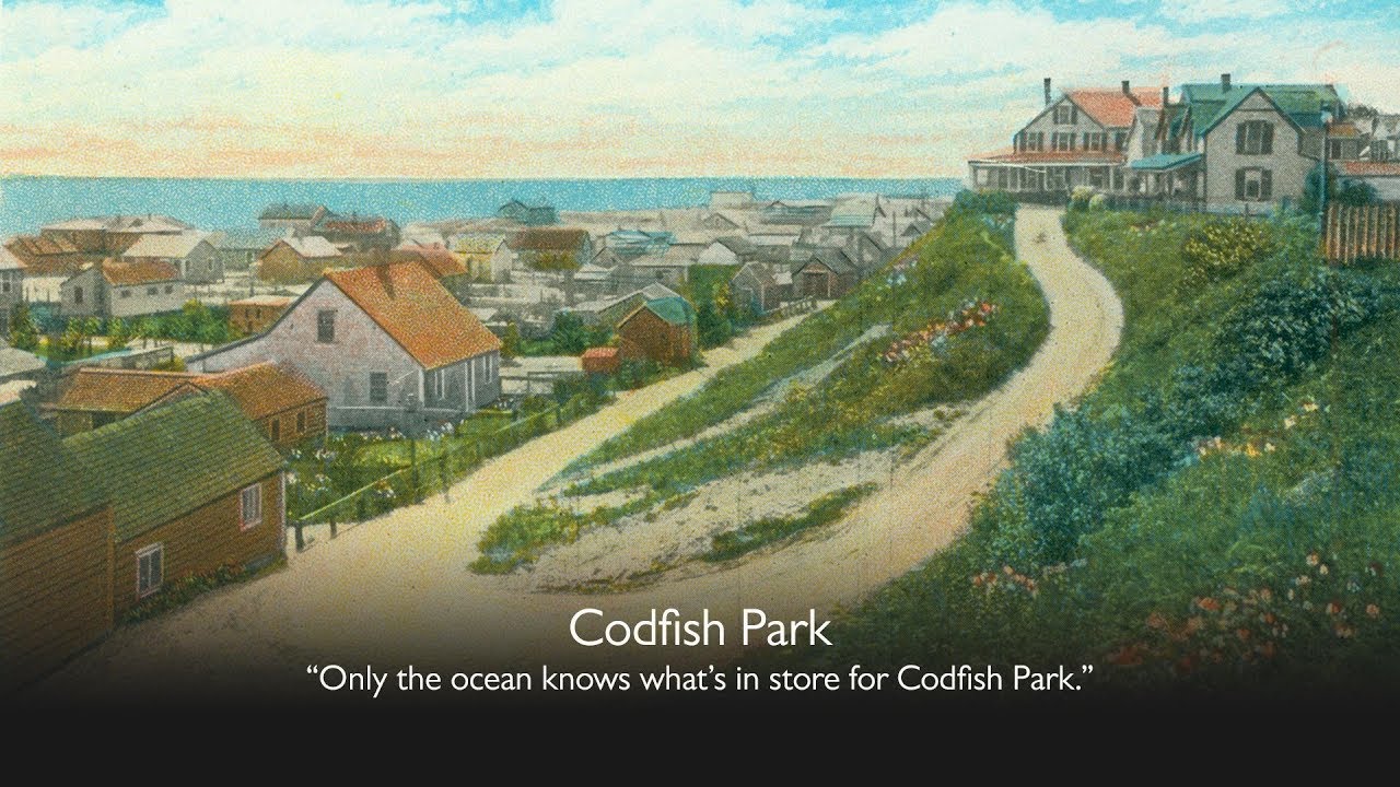 Codfish Park 'Sconset on Nantucket