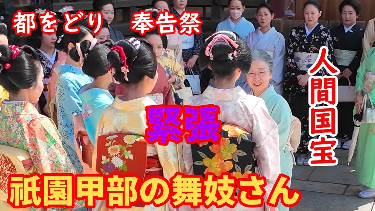 5月1日祇園甲部舞妓さん集結！都をどり奉告祭 【人間国宝登場】八坂神社 芸舞妓さん