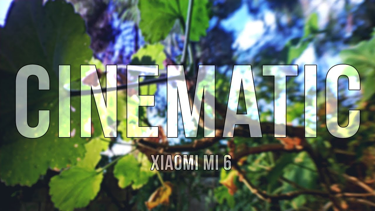 Cinematic Spring .