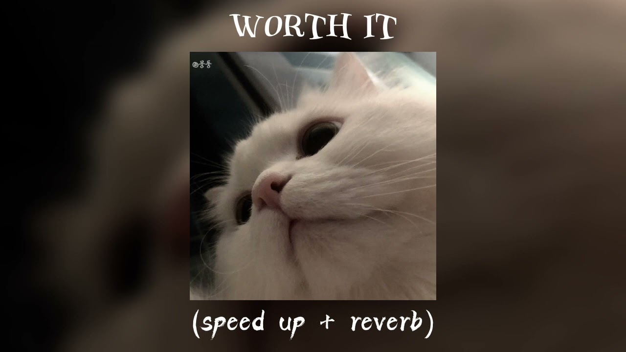 worth it (sped up+reverb)