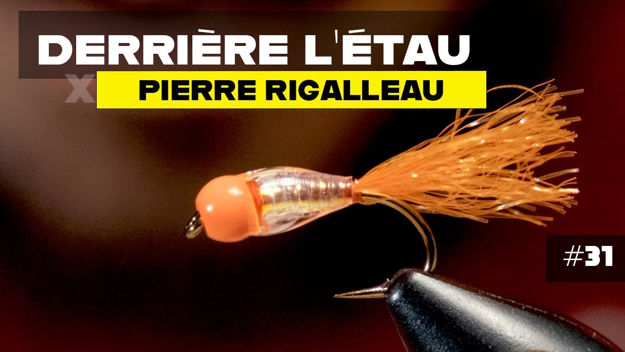 Derri&egrave;re l'&eacute;tau n&deg;31 : montage d'une mouche &agrave; alose