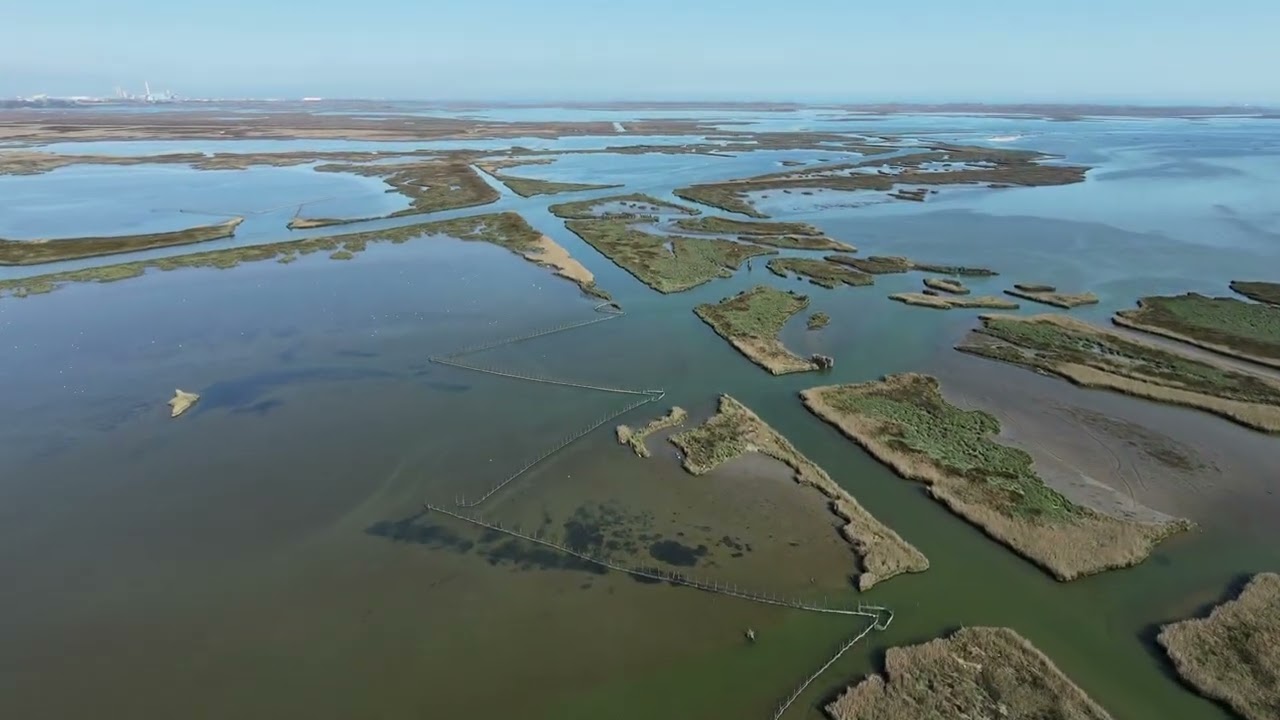 Itinerario naturalistico Croce Velo, Mira (VE) - Laguna di Venezia, 8 marzo 2026