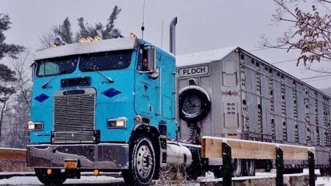 Bull Haulers on that  lost hwy