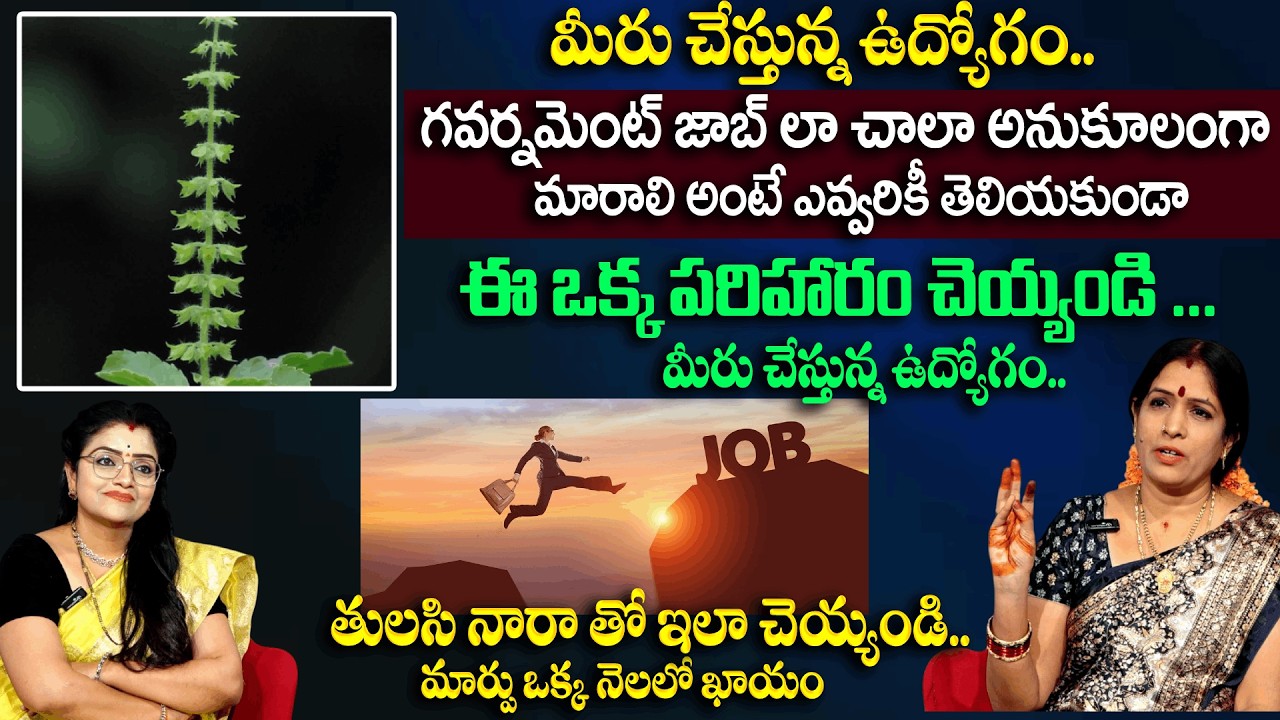 తులసి నారా  తో ఇలా చేస్తే గవర్నమెంట్ జాబ్ పక్కా వస్తుంది | Tulasi Nara POOJA | Padmini