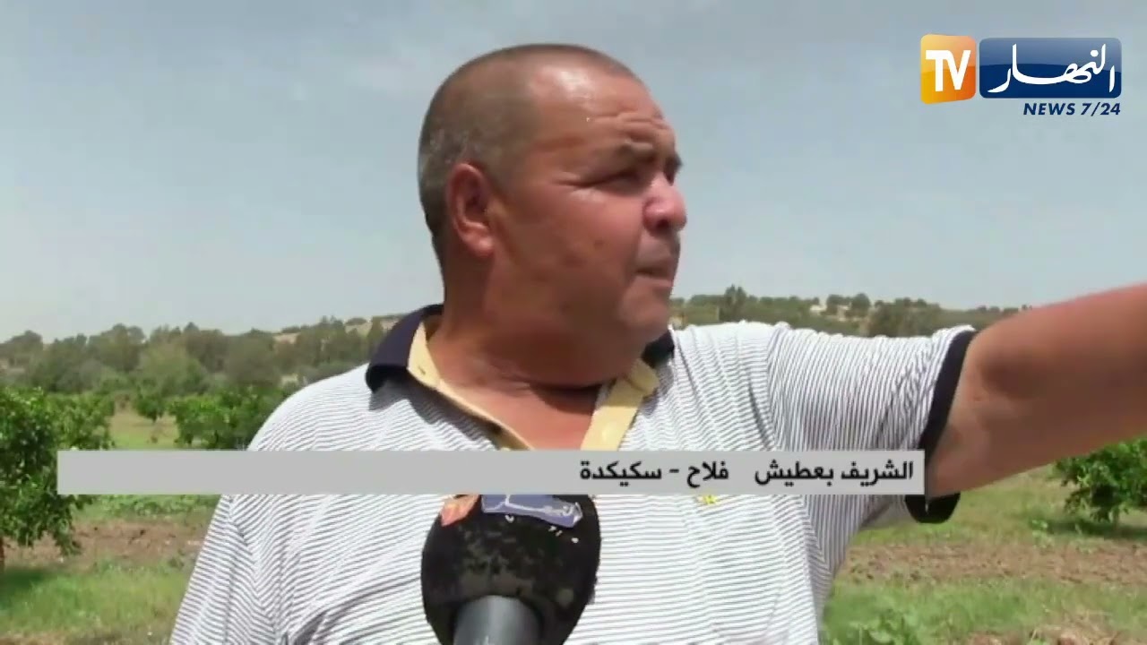 سكيكدة: آلاف الأشجار المثمرة يتهددها الجفاف بصالح بوالشعور