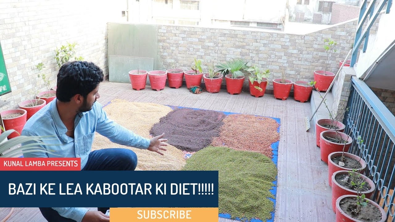 BAZI KE LEA KYA DANA DENA H OR KAISE DENA H?????