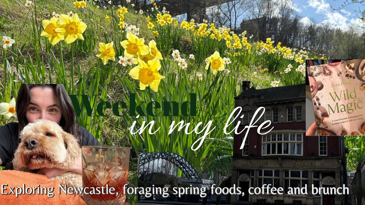 Weekend in my life 🌲| Exploring Newcastle, foraging spring foods, vintage shopping