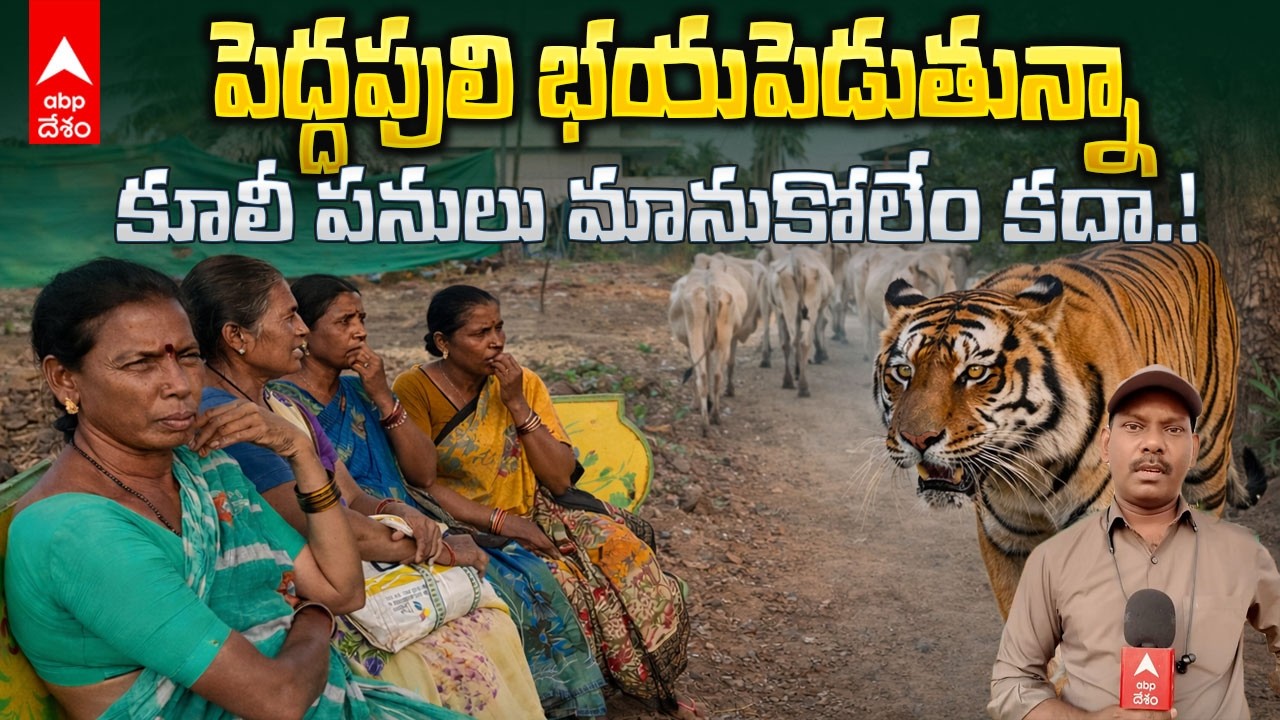 Tiger Fear in Farmers and Laborers | తూర్పుగోదావరిలో మళ్ళీ పెద్దపులి పంజా | ABP Desam