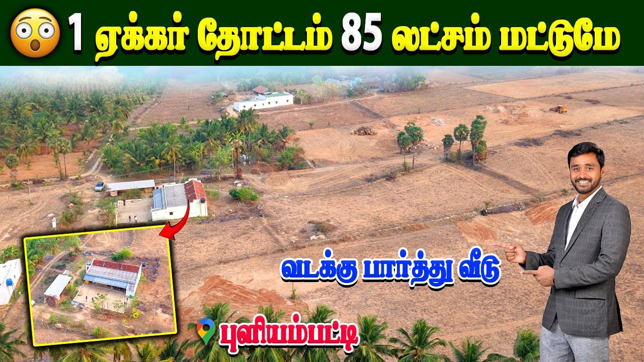 🌴2.30 ஏக்கர் தோட்டம் விற்பனைக்கு💰 1 ஏக்கர் விலை: 85 லட்சம் மட்டும்!