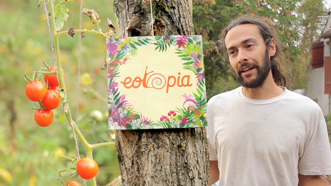 Eotopia’s Utopian Gift Economy